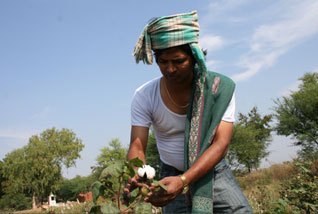 Farmer in India