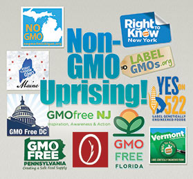 Non-gmo, gmo-free groups US