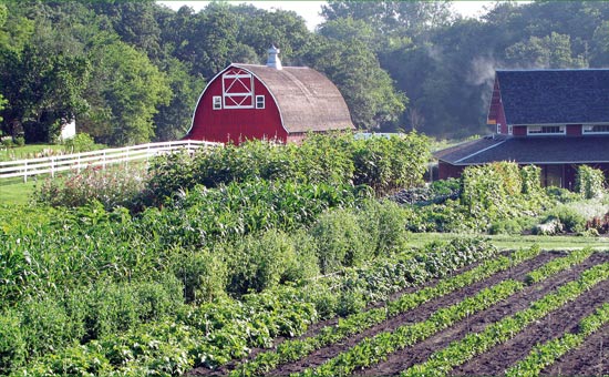 Seed Savers Exchange farm